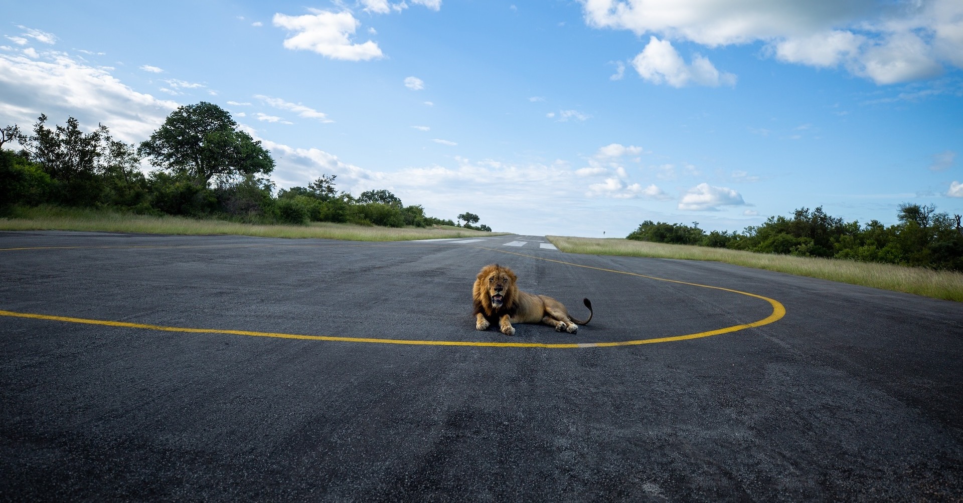 African infrastructure investment